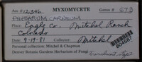 Image Associated With the Occurence